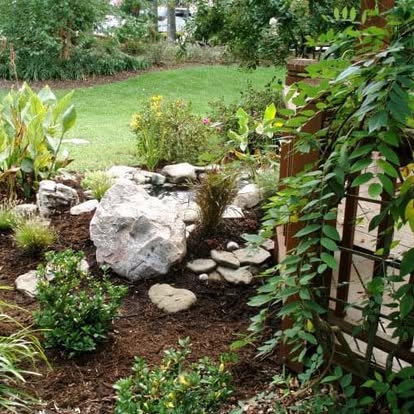 Rock garden with water feature