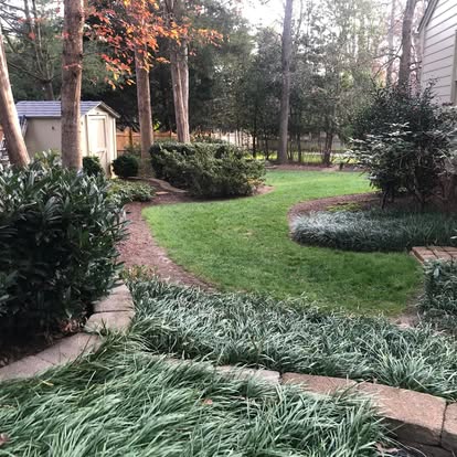 Mature landscaped backyard